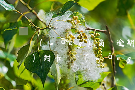 網(wǎng)商貸逾期信用卡會(huì)封卡嗎(網(wǎng)商貸逾期信用卡會(huì)封卡嗎)