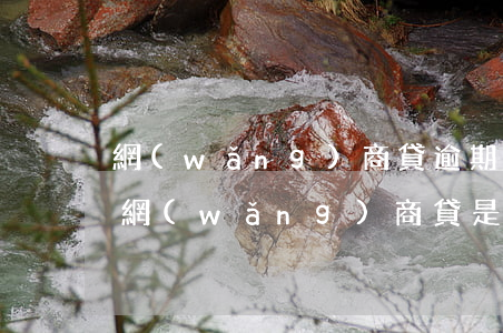 網(wǎng)商貸逾期借唄不能用了(有了網(wǎng)商貸是不是就會關(guān)閉借唄)