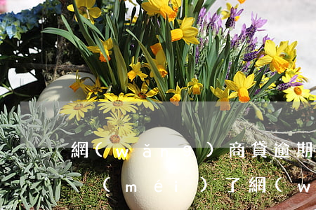 網(wǎng)商貸逾期借唄還能用嗎(借唄沒(méi)了網(wǎng)商貸)