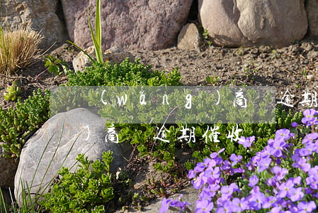 網(wǎng)商貸逾期催收（網(wǎng)商貸逾期催收）