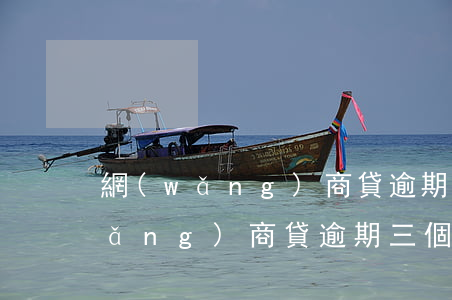 網(wǎng)商貸逾期兩天怎么辦(網(wǎng)商貸逾期三個月要求全部還清怎么辦)