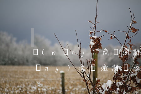 網(wǎng)商貸逾期兩天怎么還(網(wǎng)商貸逾期兩天怎么還)