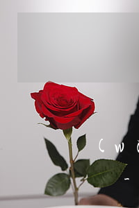網(wǎng)商貸逾期兩年了影響小孩上學嗎-網(wǎng)商貸逾期兩年了影響小孩上學嗎知乎