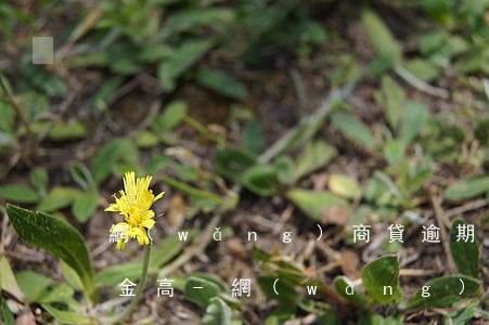 網(wǎng)商貸逾期兩年多了利息比本金高-網(wǎng)商貸逾期2年