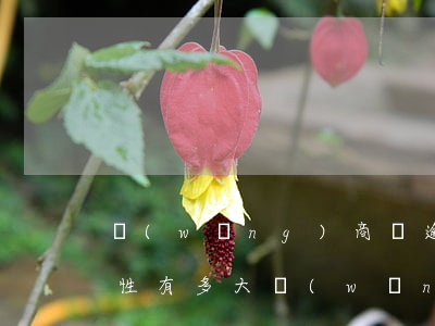 網(wǎng)商貸逾期兩年被起訴的可能性有多大（網(wǎng)商信貸逾期會(huì)被起訴嗎）
