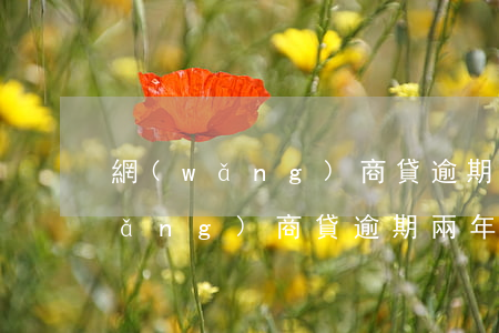 網(wǎng)商貸逾期兩年要起訴(網(wǎng)商貸逾期兩年要起訴)
