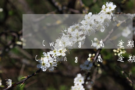 網(wǎng)商貸逾期八萬會怎么處理(網(wǎng)商貸逾期兩年8000元)