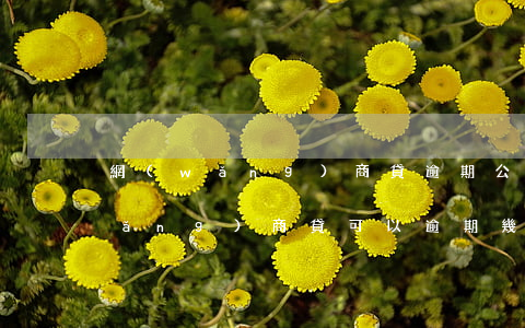 網(wǎng)商貸逾期公式怎么算(網(wǎng)商貸可以逾期幾次)