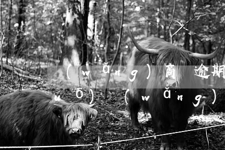 網(wǎng)商貸逾期分期怎么說(shuō)(網(wǎng)商貸如果逾期了,會(huì)怎么樣)