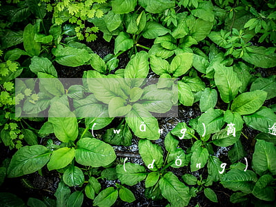 網(wǎng)商貸逾期利息會(huì)滾動(dòng)嗎(網(wǎng)商貸逾期的罰息)