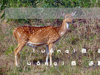 網(wǎng)商貸逾期到家里催收(欠網(wǎng)商貸逾期被上門)