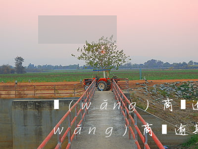 網(wǎng)商貸逾期十天會怎么樣(網(wǎng)商貸逾期半天算逾期嗎)