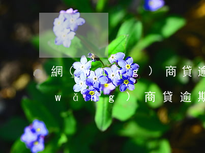 網(wǎng)商貸逾期十天有影響嗎(網(wǎng)商貸逾期一年以上)