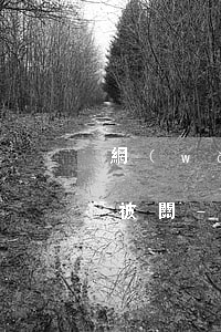 網(wǎng)商貸逾期十天還錢了會不會被關-網(wǎng)商貸逾期十天還錢了會不會被關閉