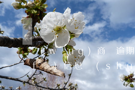 網(wǎng)商貸逾期半年了,今天給發(fā)信息說(shuō)寄律師函（網(wǎng)商貸逾期半年）