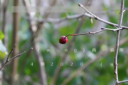 網(wǎng)商貸逾期協(xié)商24期(2020網(wǎng)商貸逾期起訴)