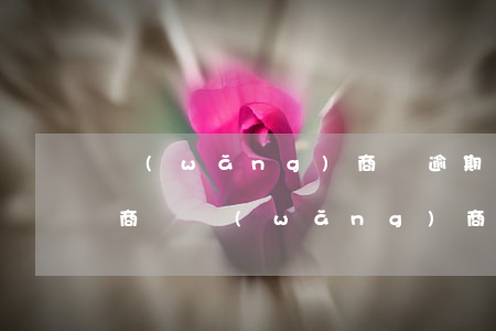 網(wǎng)商貸逾期可以協(xié)商嗎(網(wǎng)商貸欠17逾期了怎么跟銀行協(xié)商解決)