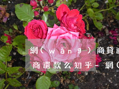 網(wǎng)商貸逾期可以協(xié)商還款么 知乎-網(wǎng)商貸逾期可以協(xié)商還款么 知乎