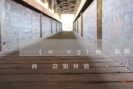 網(wǎng)商貸逾期可以協(xié)商還款如何填寫-網(wǎng)商貸 逾期 協(xié)商