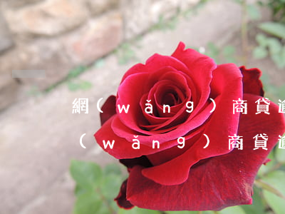 網(wǎng)商貸逾期可以讓朋友還嗎 網(wǎng)商貸逾期還款了還可以借嗎