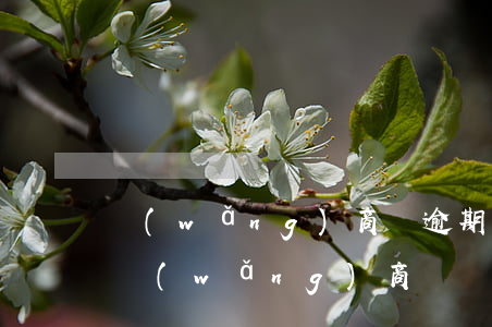 網(wǎng)商貸逾期可以貸款買房(用了網(wǎng)商貸買房不能貸款)