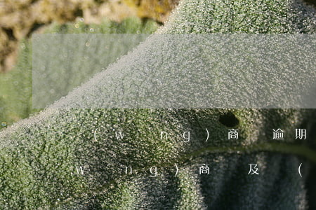網(wǎng)商貸逾期后影響征信嗎(網(wǎng)商貸及時(shí)還款影響征信嗎)