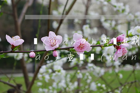 網(wǎng)商貸逾期后會上門調(diào)查嗎(網(wǎng)貸逾期真的會上門調(diào)查嗎)