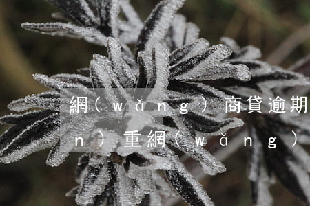 網(wǎng)商貸逾期后果有多嚴(yán)重?（網(wǎng)商貸逾期最嚴(yán)重后果是）
