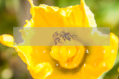 網(wǎng)商貸逾期后被起訴怎么處理-網(wǎng)商貸逾期多少天會起訴,我已經(jīng)還了2000多