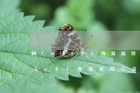 網(wǎng)商貸逾期后還款方式(網(wǎng)商貸逾期后還款方式怎么改)