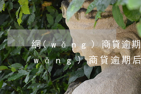 網(wǎng)商貸逾期后還能借款嘛(網(wǎng)商貸逾期后還上還可以用嗎)