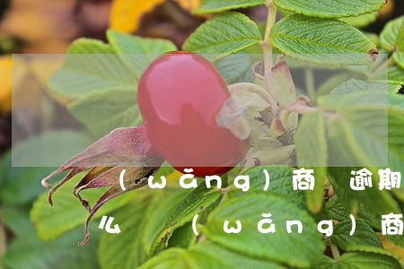 網(wǎng)商貸逾期嚴(yán)重怎么辦(網(wǎng)商貸逾期一年親身經(jīng)歷)
