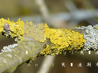 網(wǎng)商貸逾期四個小時了(網(wǎng)商貸逾期半小時,多久可以重新使用)