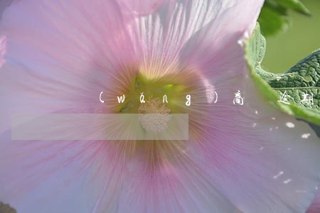 網(wǎng)商貸逾期回扣其他卡錢