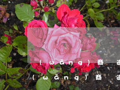網(wǎng)商貸逾期在支付寶顯示嗎(網(wǎng)商貸逾期在支付寶顯示嗎)