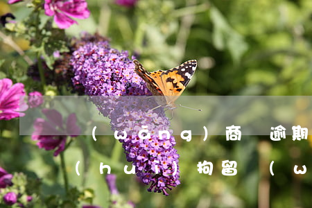網(wǎng)商貸逾期報(bào)警會(huì)拘留(網(wǎng)商貸逾期多久會(huì)被起訴會(huì)有什么后果)