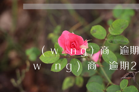 網(wǎng)商貸逾期多久上門取證(網(wǎng)商貸逾期2個(gè)月說準(zhǔn)備好材料了起訴我)