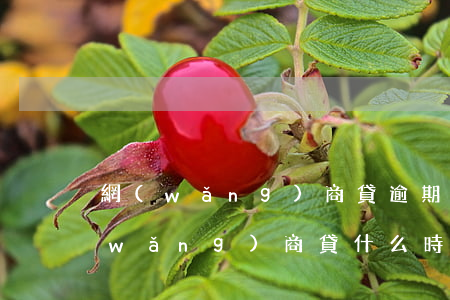 網(wǎng)商貸逾期多久更新一次(網(wǎng)商貸什么時(shí)候更新一次)