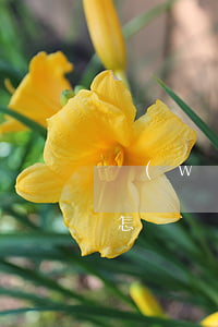 網(wǎng)商貸逾期多久會(huì)怎樣(網(wǎng)商貸逾期一年逾期費(fèi))