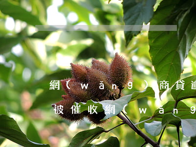 網(wǎng)商貸逾期多久會(huì)被催收(網(wǎng)商貸逾期3個(gè)月發(fā)來催收函會(huì)起訴我嗎?)