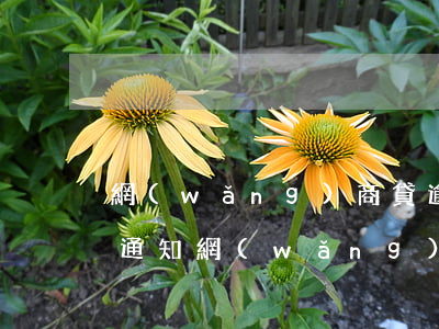 網(wǎng)商貸逾期多久會(huì)通知(網(wǎng)商貸逾期三天沒有影響)