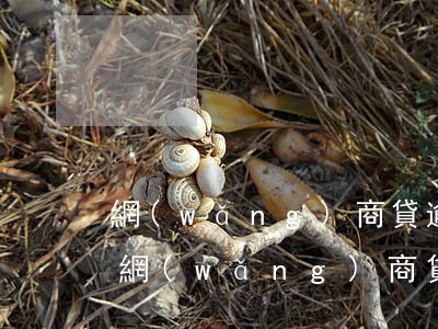 網(wǎng)商貸逾期多久會納入失信-網(wǎng)商貸逾期怎么辦?網(wǎng)商貸逾期會被起訴嗎