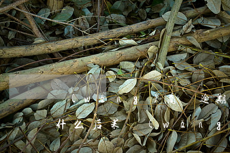 網(wǎng)商貸逾期多久會被起訴會有什么后果（網(wǎng)商貸逾期要起訴了）