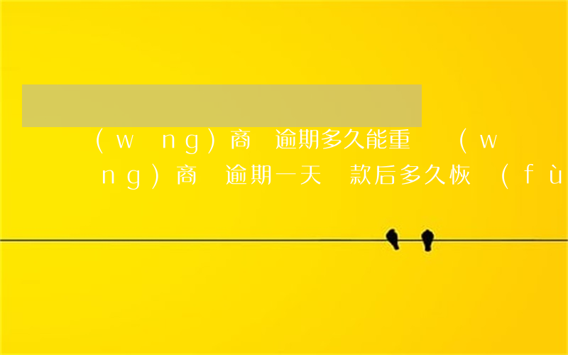 網(wǎng)商貸逾期多久能重開(網(wǎng)商貸逾期一天還款后多久恢復(fù)額度)