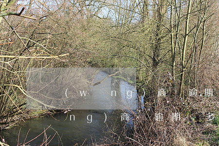 網(wǎng)商貸逾期多久變黑戶(網(wǎng)商貸逾期過多久恢復(fù)貸款)