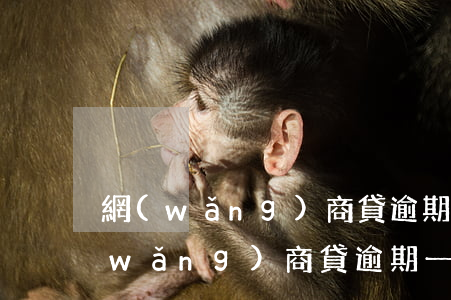 網(wǎng)商貸逾期多長時間起訴(網(wǎng)商貸逾期一個多月說要起訴)