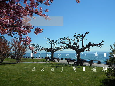 網(wǎng)商貸逾期就減額度了(網(wǎng)商貸逾期一次要多久才會(huì)重新給額度)