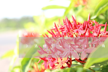 網(wǎng)商貸逾期幾個月結(jié)清(網(wǎng)商貸逾期6天已還清,往后貸款會影響嗎)