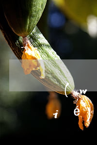 網(wǎng)商貸逾期幾天花唄凍結(jié)會解封嗎-網(wǎng)商貸逾期幾天花唄凍結(jié)會解封嗎知乎