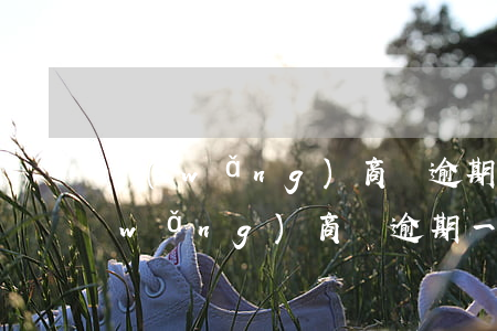 網(wǎng)商貸逾期幾年被代還了(網(wǎng)商貸逾期一個(gè)月后,還上后還能借嗎)